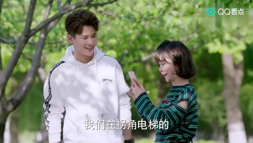可爱猫咪救援